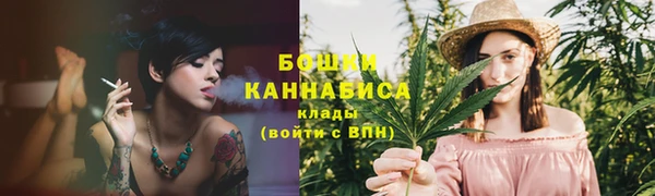 молекула духа Осинники