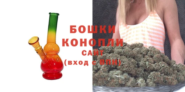 молекула духа Осинники