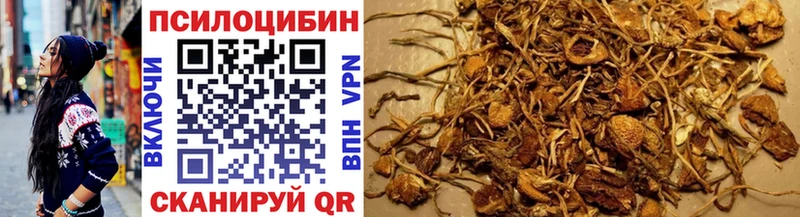 Галлюциногенные грибы Cubensis  сколько стоит  Полысаево 